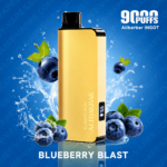 Blueberry Blast – Alibarbar 9000 Puffs Disposable Vape 🫐 Bold Berry Flavor - Image 2